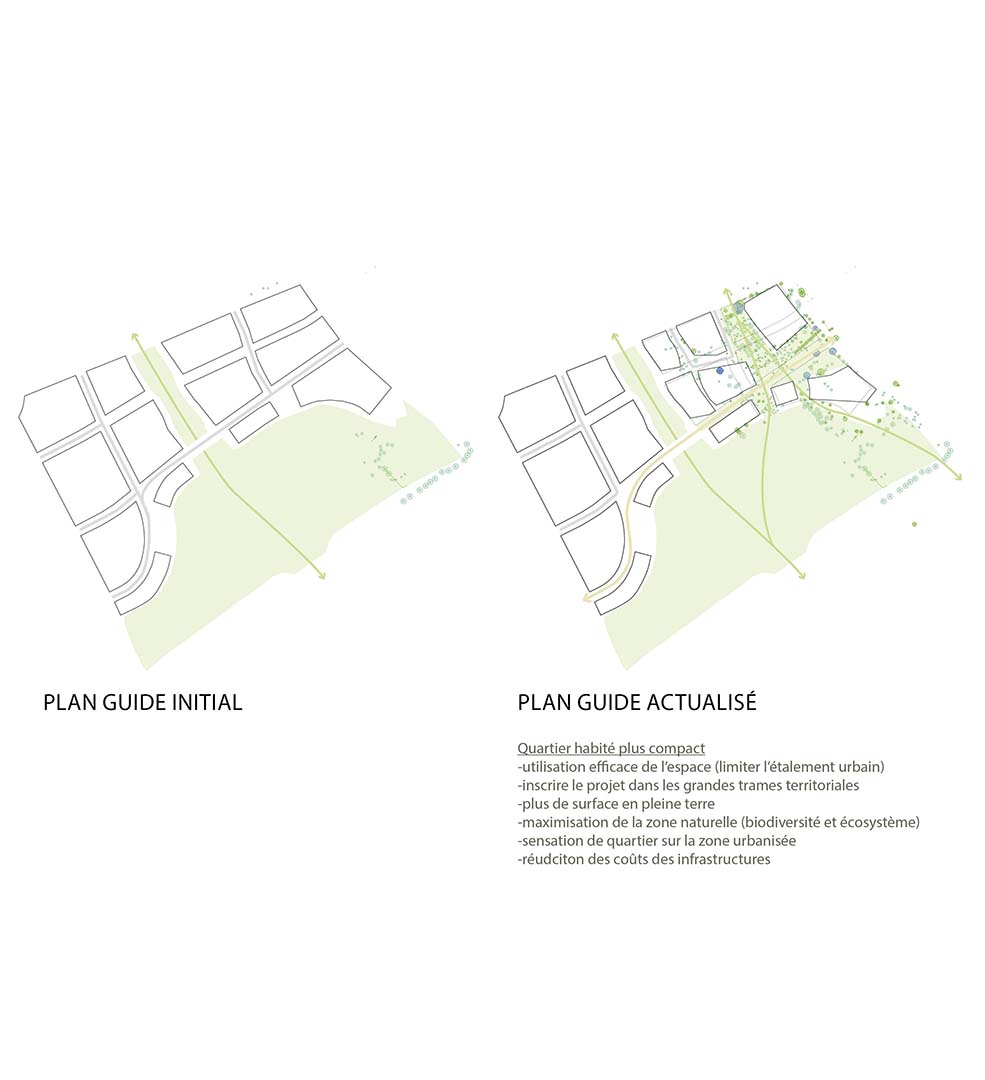 ANMA Montpellier Marianne République