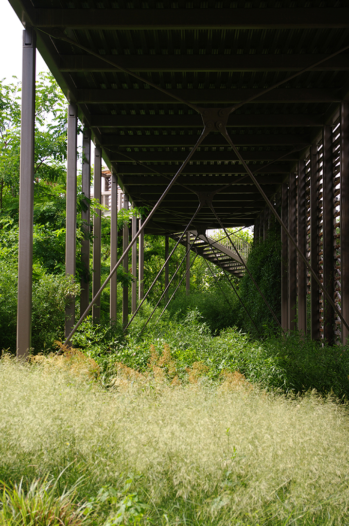 ANMA Rueil-Malmaison Passerelle et jardins