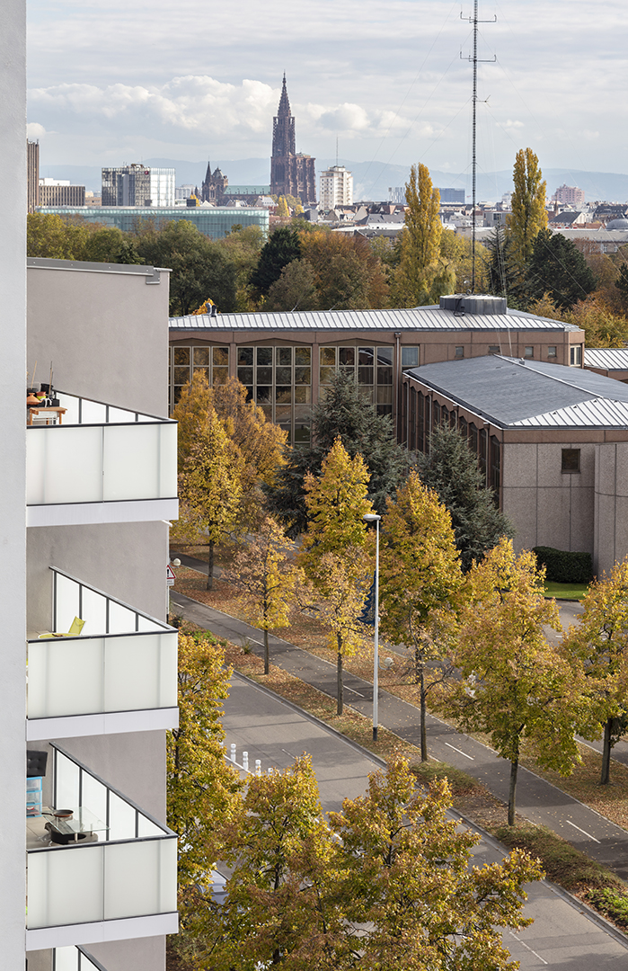 ANMA Strasbourg Logements Rotonde