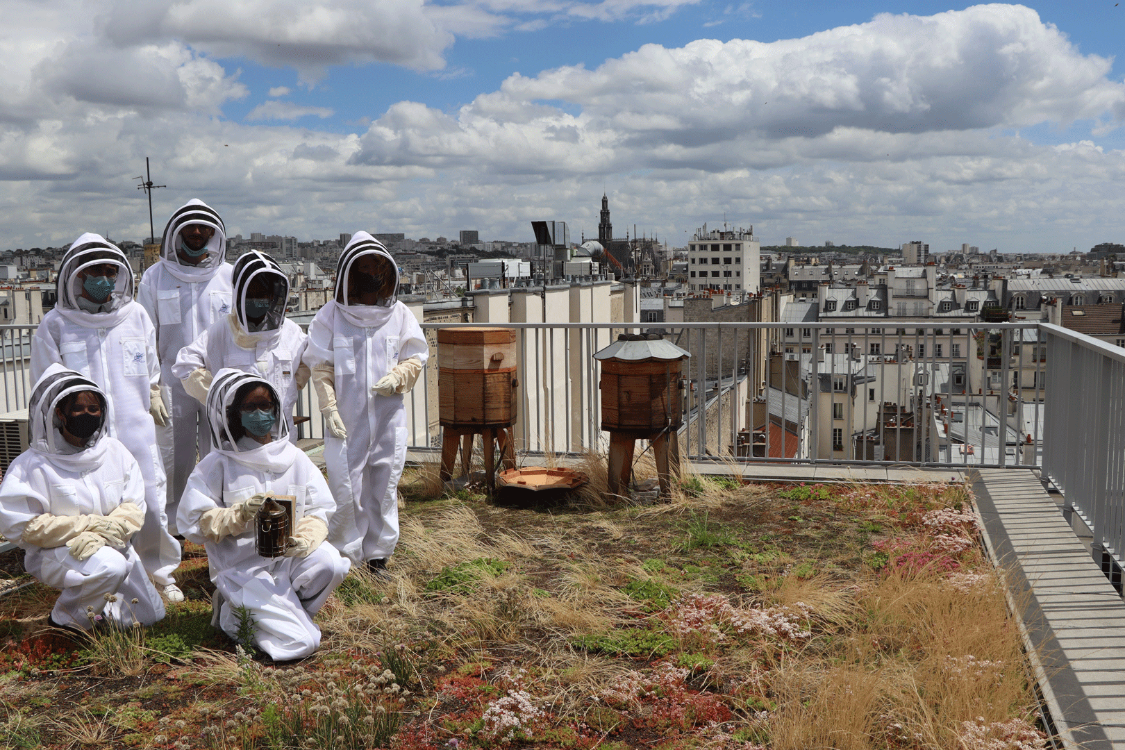 ANMA Foundation beehives