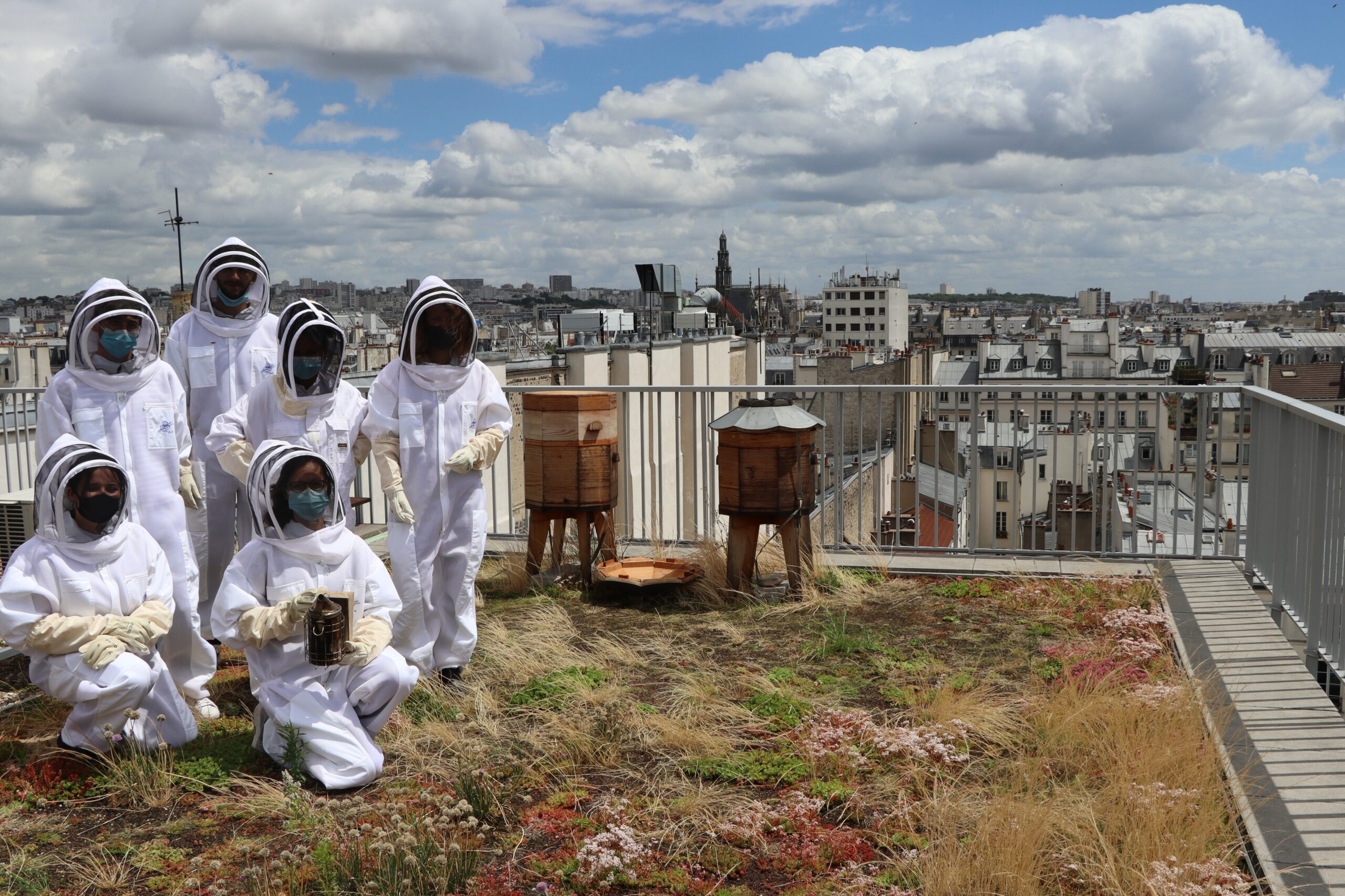 ANMA Foundation Paris Beehives