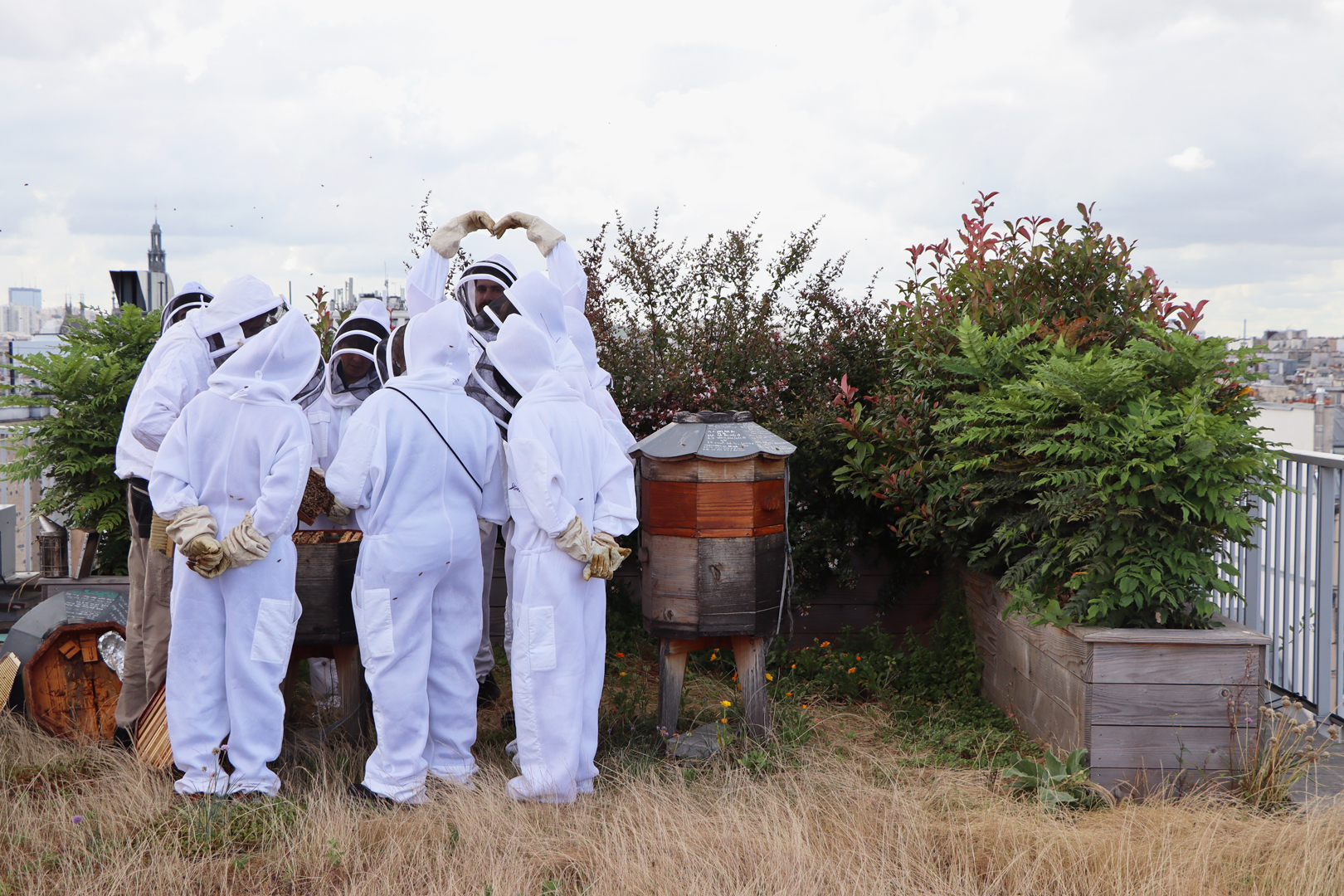 Fondation ANMA ruches