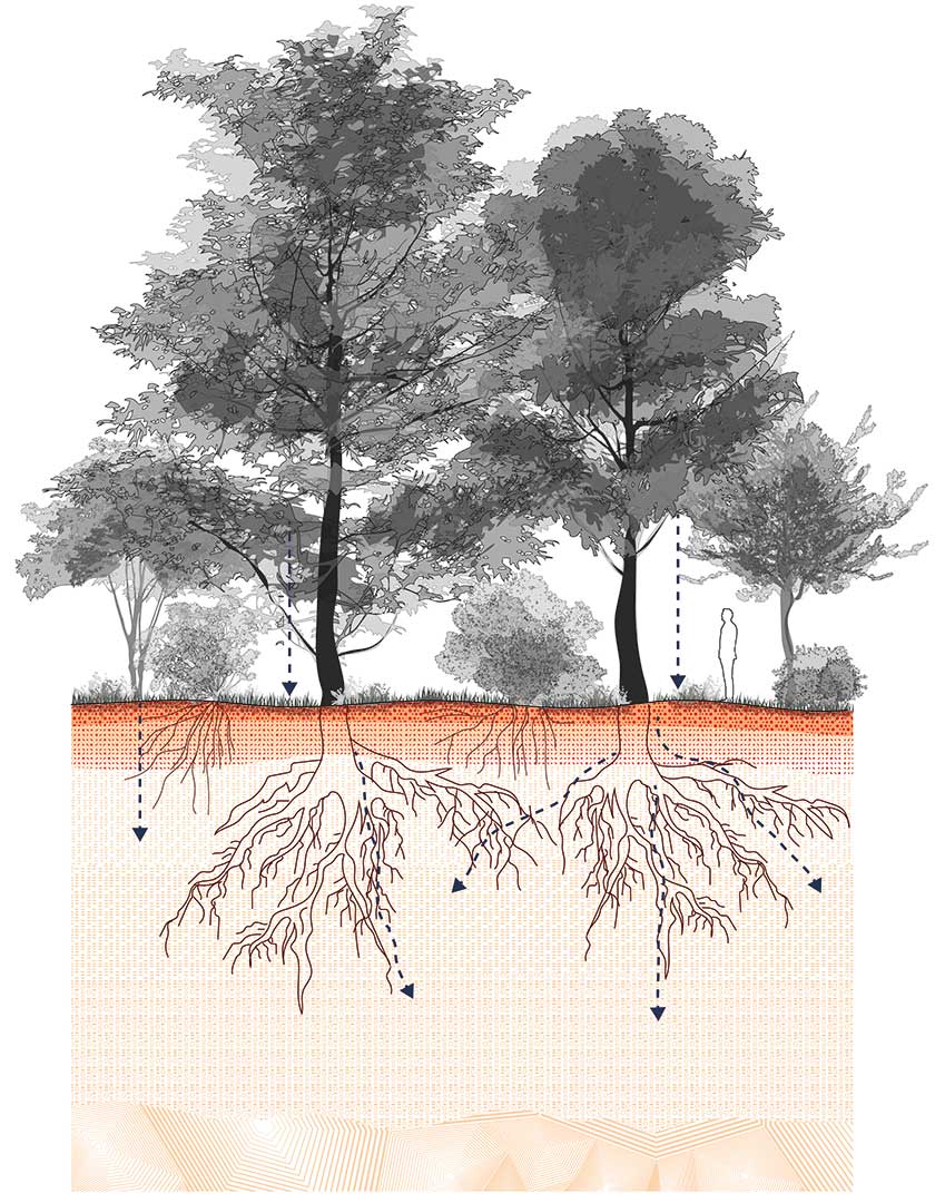 Terre Terrain Territoire