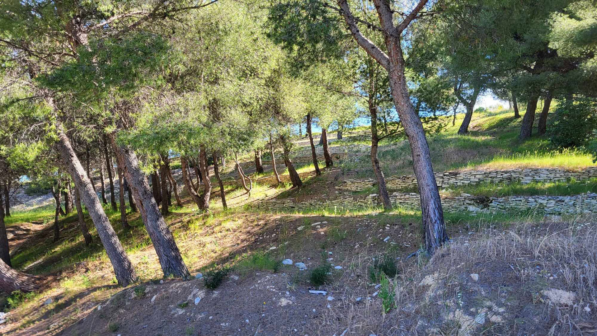 ANMA-Logements Bords de Marne