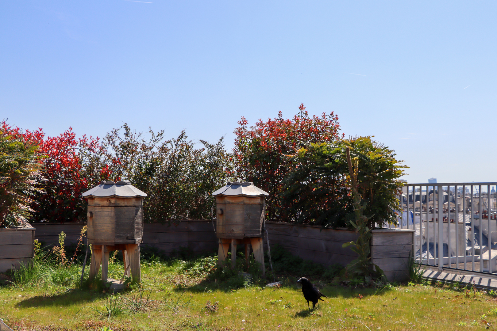 Fondation ANMA Paris Ruches