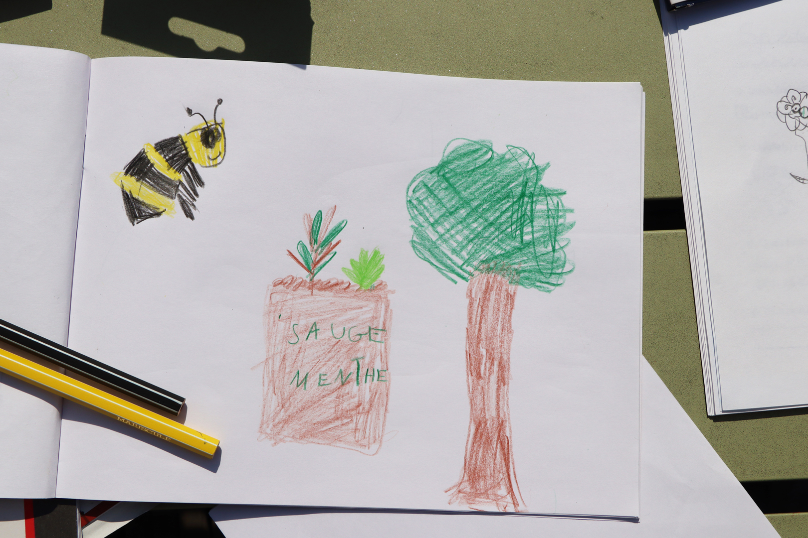 ANMA 9 cour des Petites Écuries